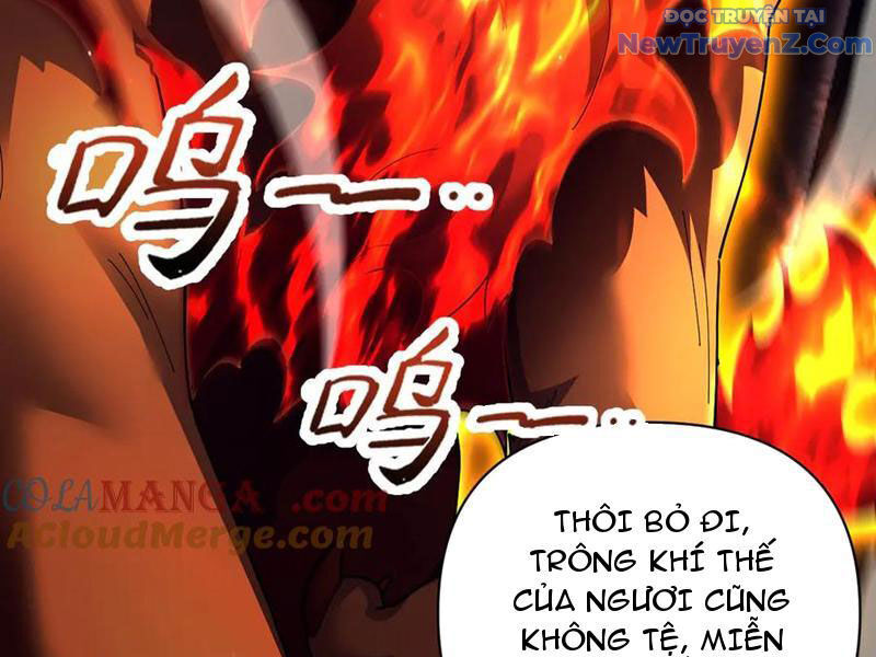 Bắt Đầu Chấn Kinh Nữ Đế Lão Bà, Ta Vô Địch! Chapter 76 - 154