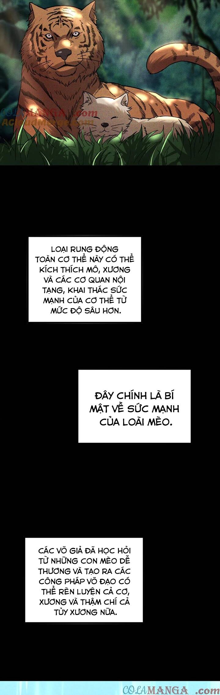 Sau Khi Chết, Ta Trở Thành Võ Đạo Thiên Ma Chapter 26 - 5