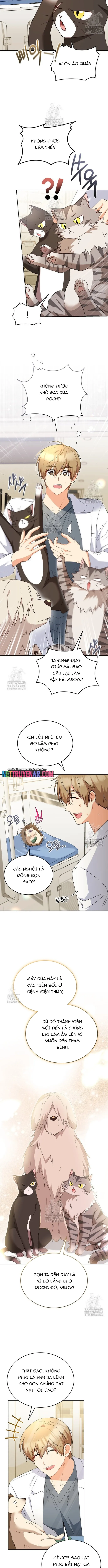 Xin Chào! Bác Sĩ Thú Y Chapter 100 - 7