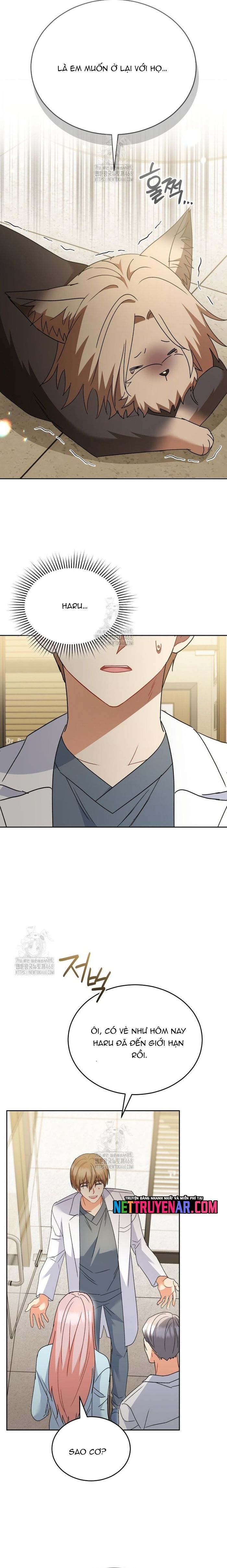 Xin Chào! Bác Sĩ Thú Y Chapter 104 - 12