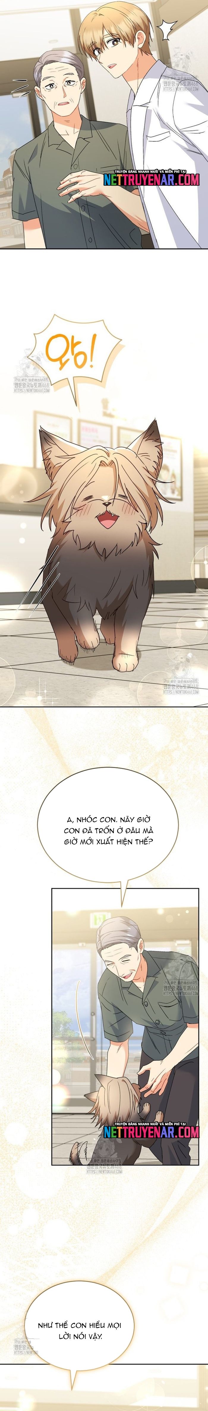 Xin Chào! Bác Sĩ Thú Y Chapter 104 - 19