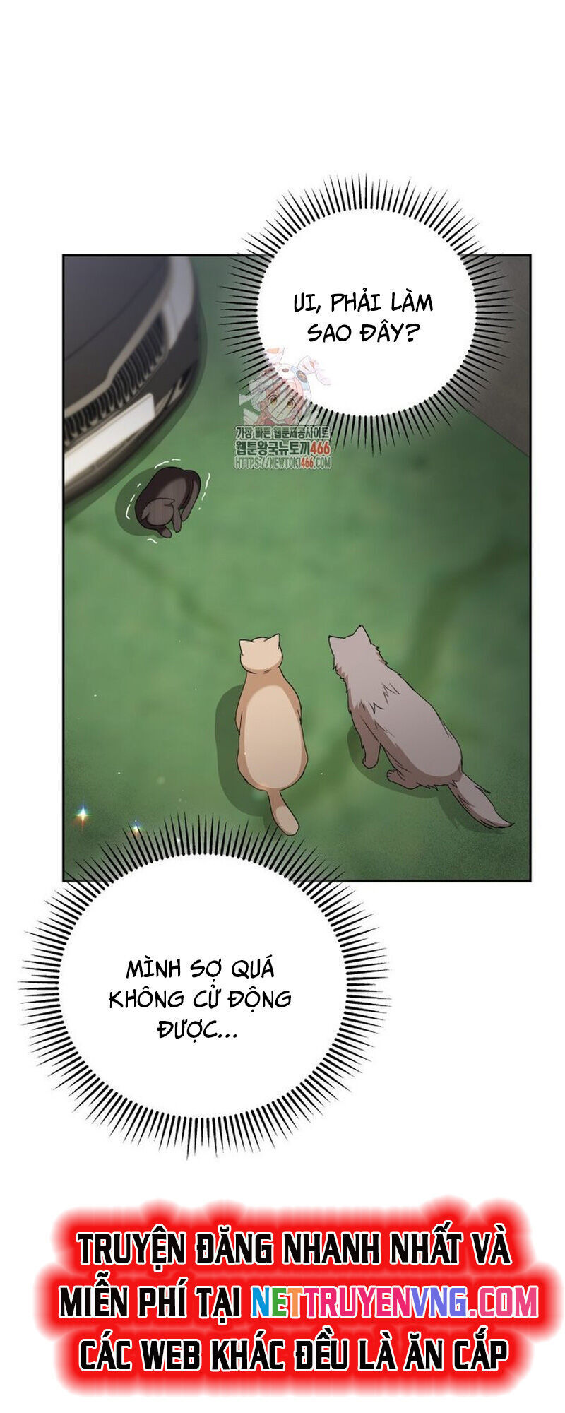 Xin Chào! Bác Sĩ Thú Y Chapter 77 - 2