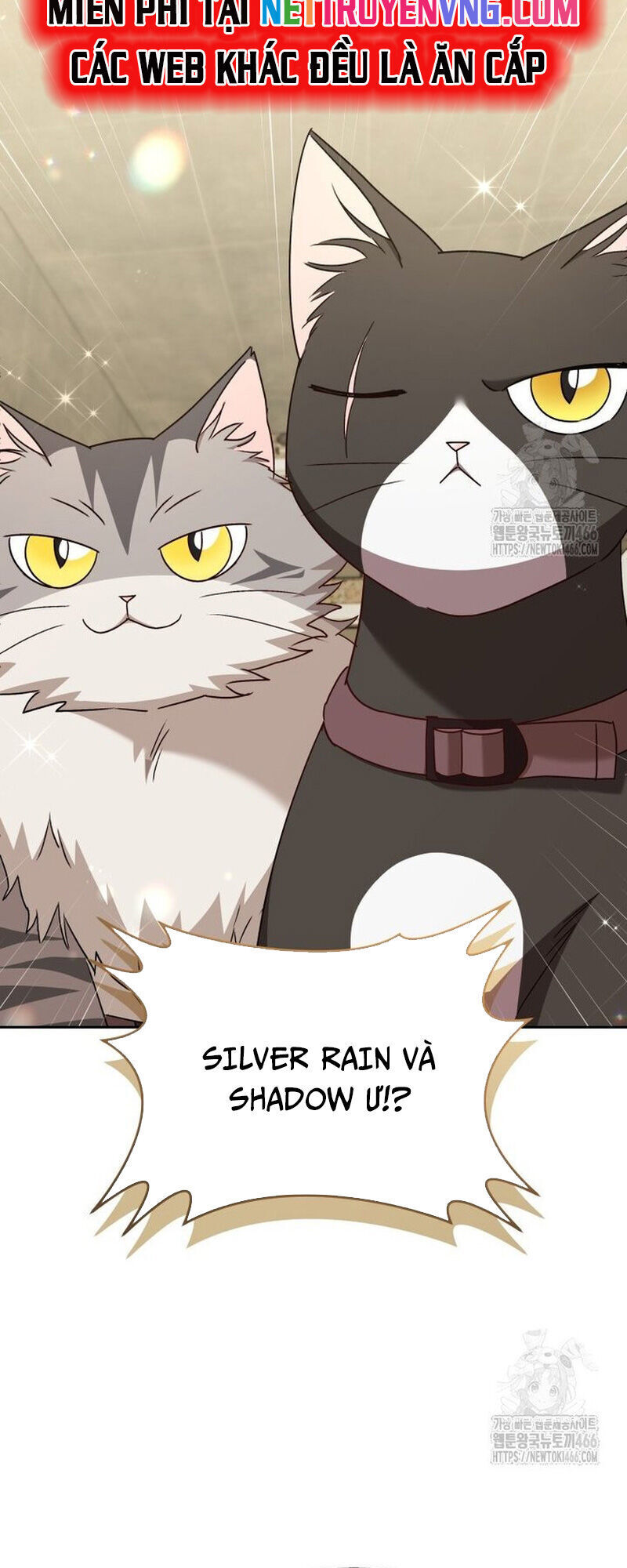 Xin Chào! Bác Sĩ Thú Y Chapter 77 - 19