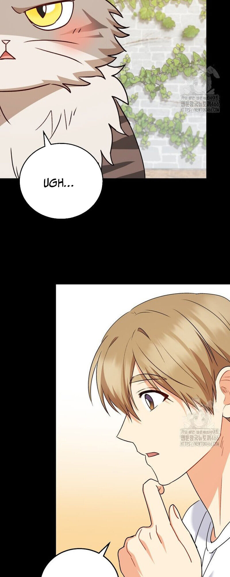 Xin Chào! Bác Sĩ Thú Y Chapter 77 - 29