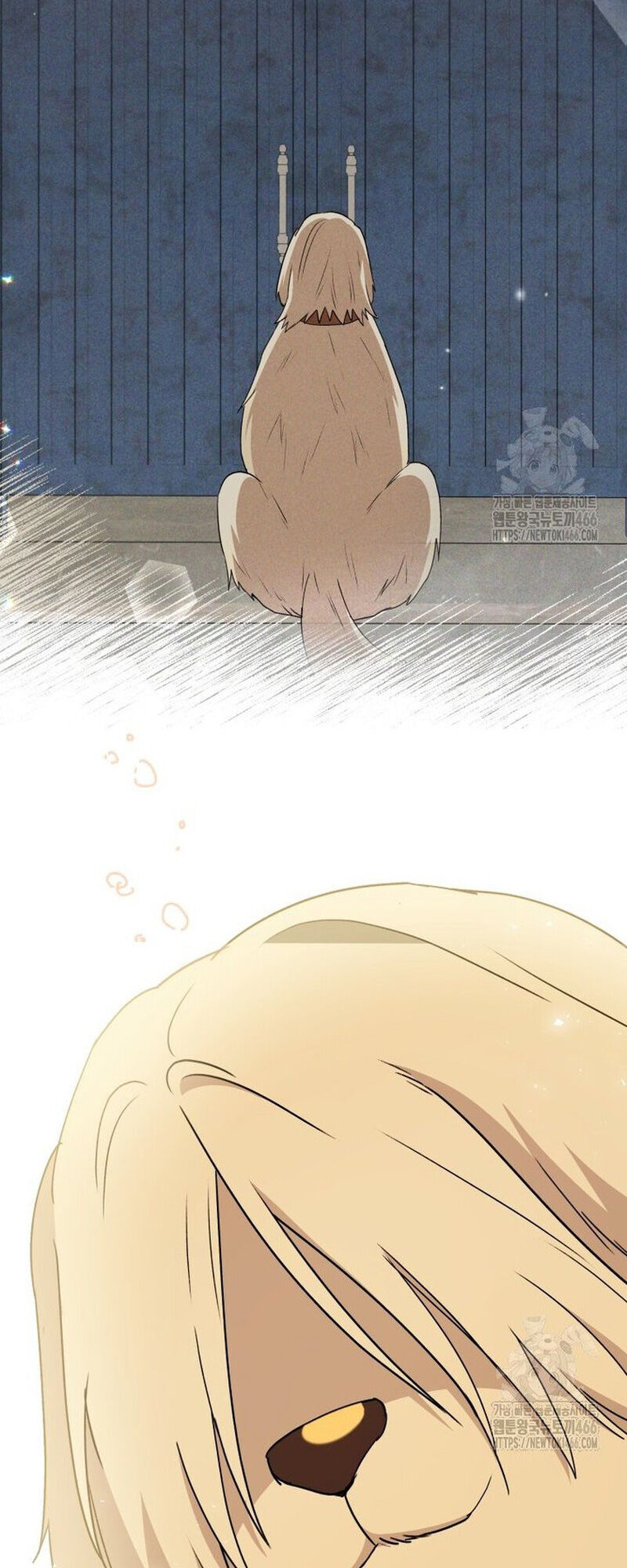 Xin Chào! Bác Sĩ Thú Y Chapter 77 - 63