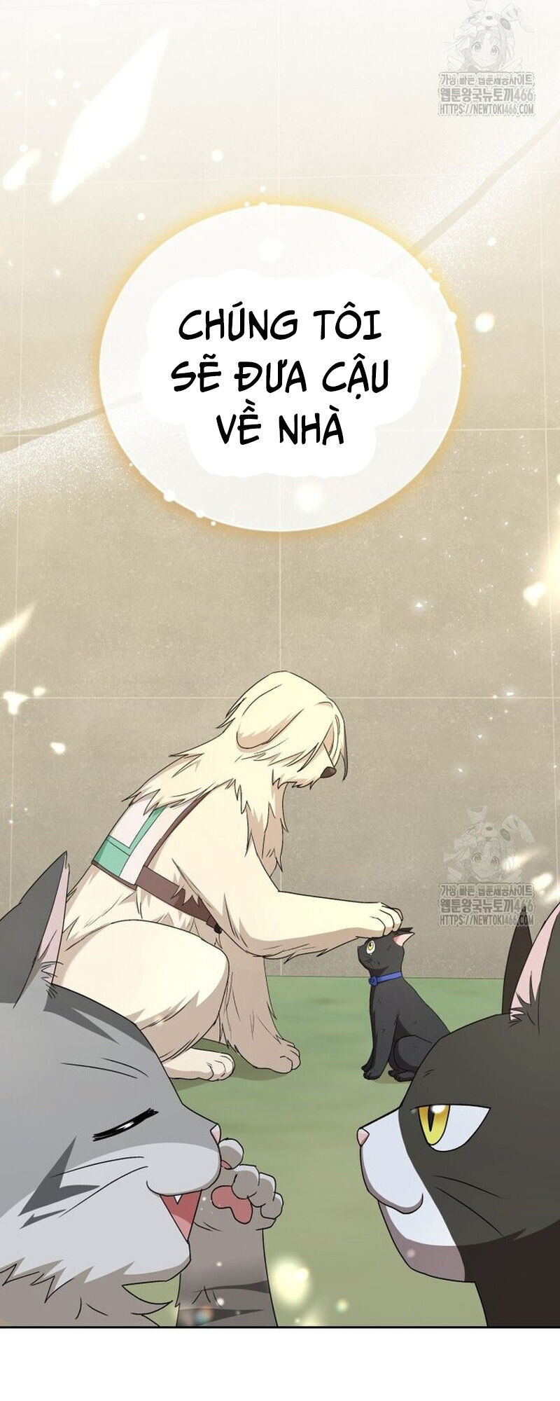 Xin Chào! Bác Sĩ Thú Y Chapter 77 - 65