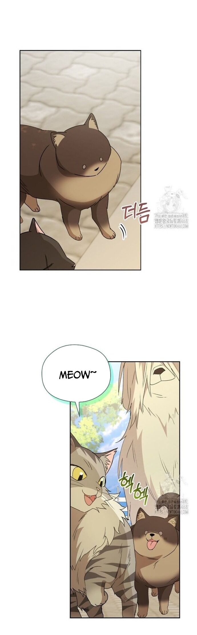 Xin Chào! Bác Sĩ Thú Y Chapter 91 - 27