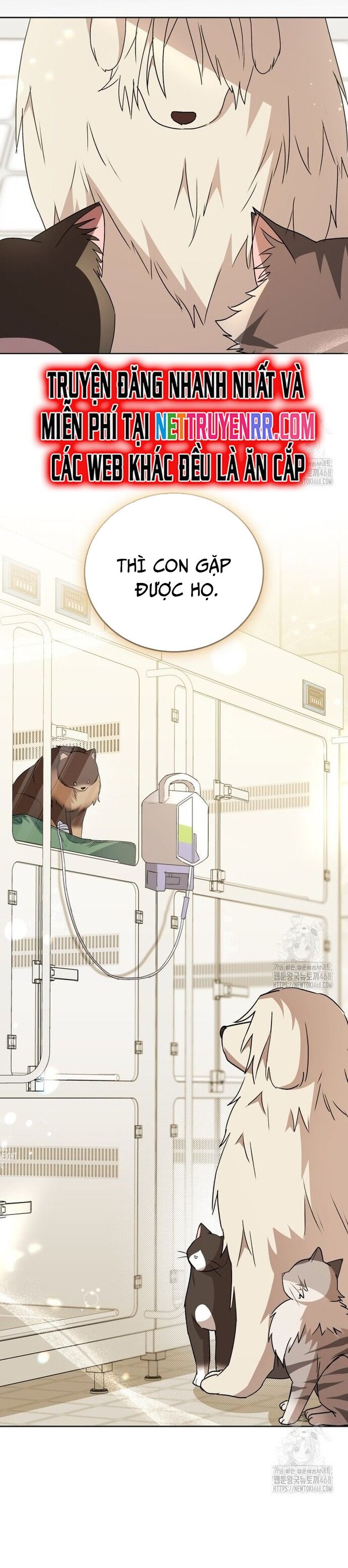 Xin Chào! Bác Sĩ Thú Y Chapter 91 - 6