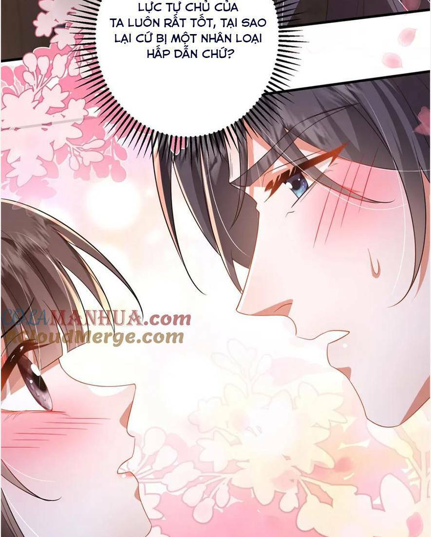 Phượng Hoàng Quy Hồi Chapter 16 - 26