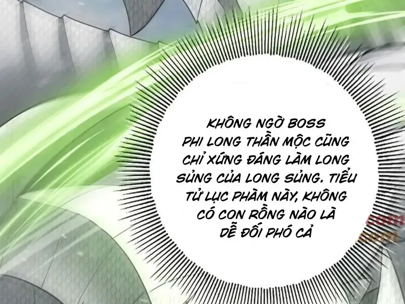 Toàn Dân Chuyển Chức: Ngự Long Sư Là Chức Nghiệp Yếu Nhất? Chapter 62.2 - 26