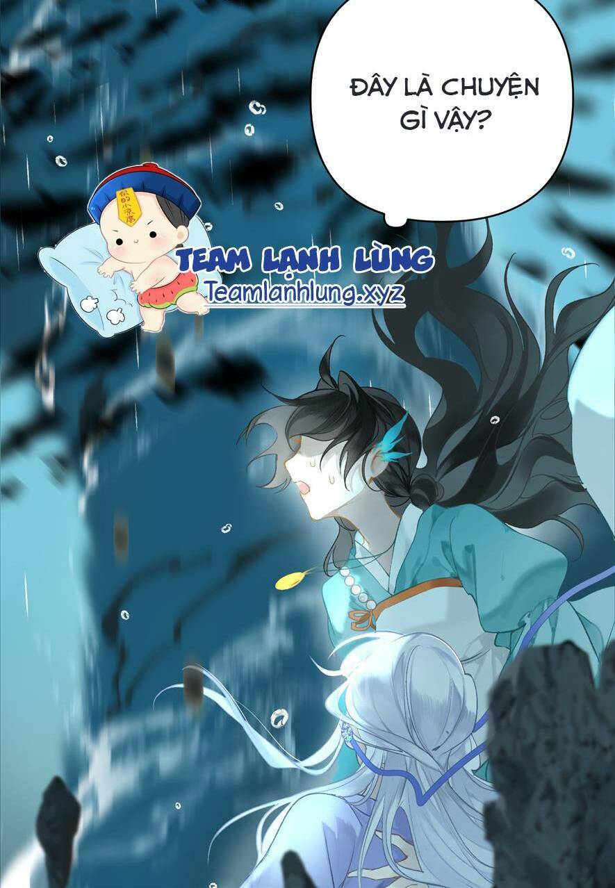 Đến Đông Hải Tìm Mỹ Nhân Chapter 1 - 33