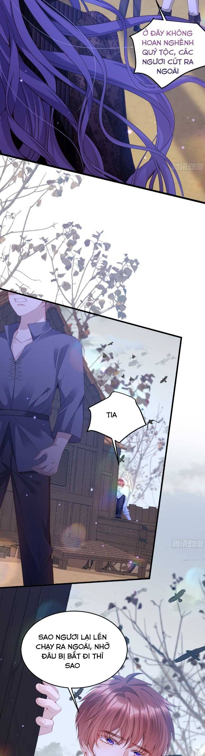 Cầu Hôn Giáo Hoàng Chapter 11 - 9