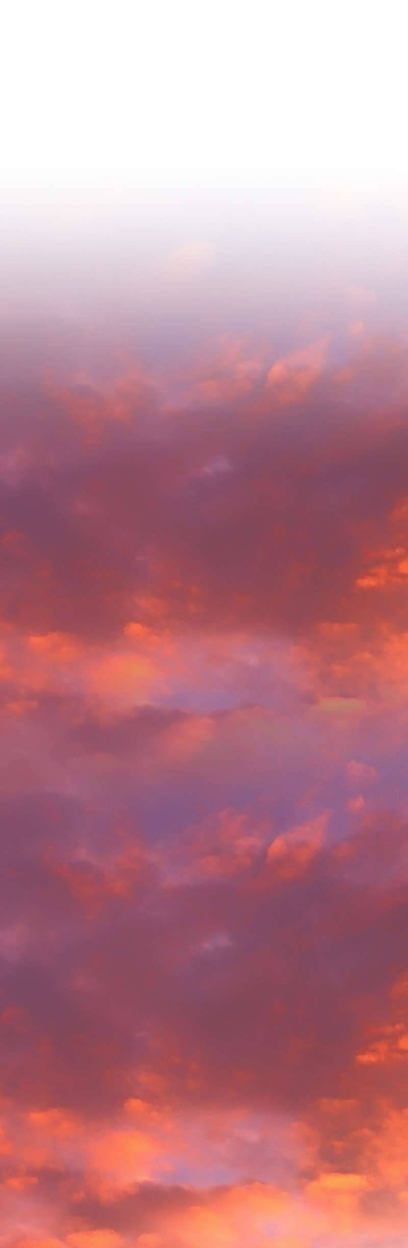 Lời Thú Nhận Của Chúa Tể Bóng Tối Chapter 79 - 47