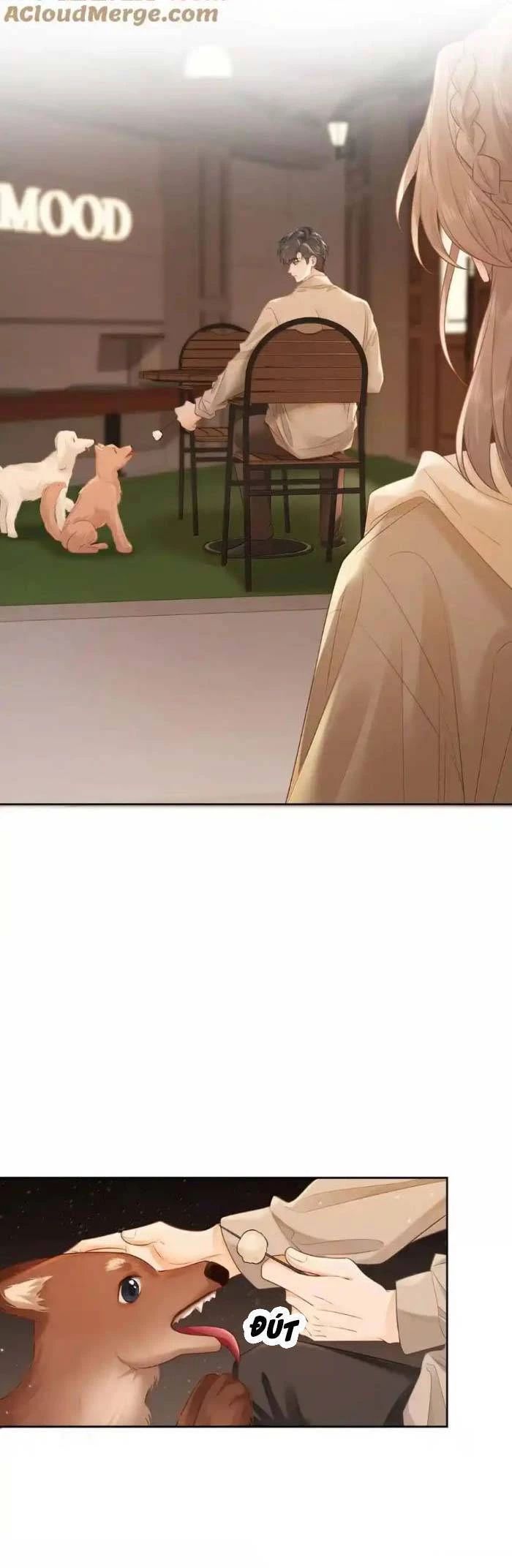 Gấp Vầng Trăng Chapter 49 - 5