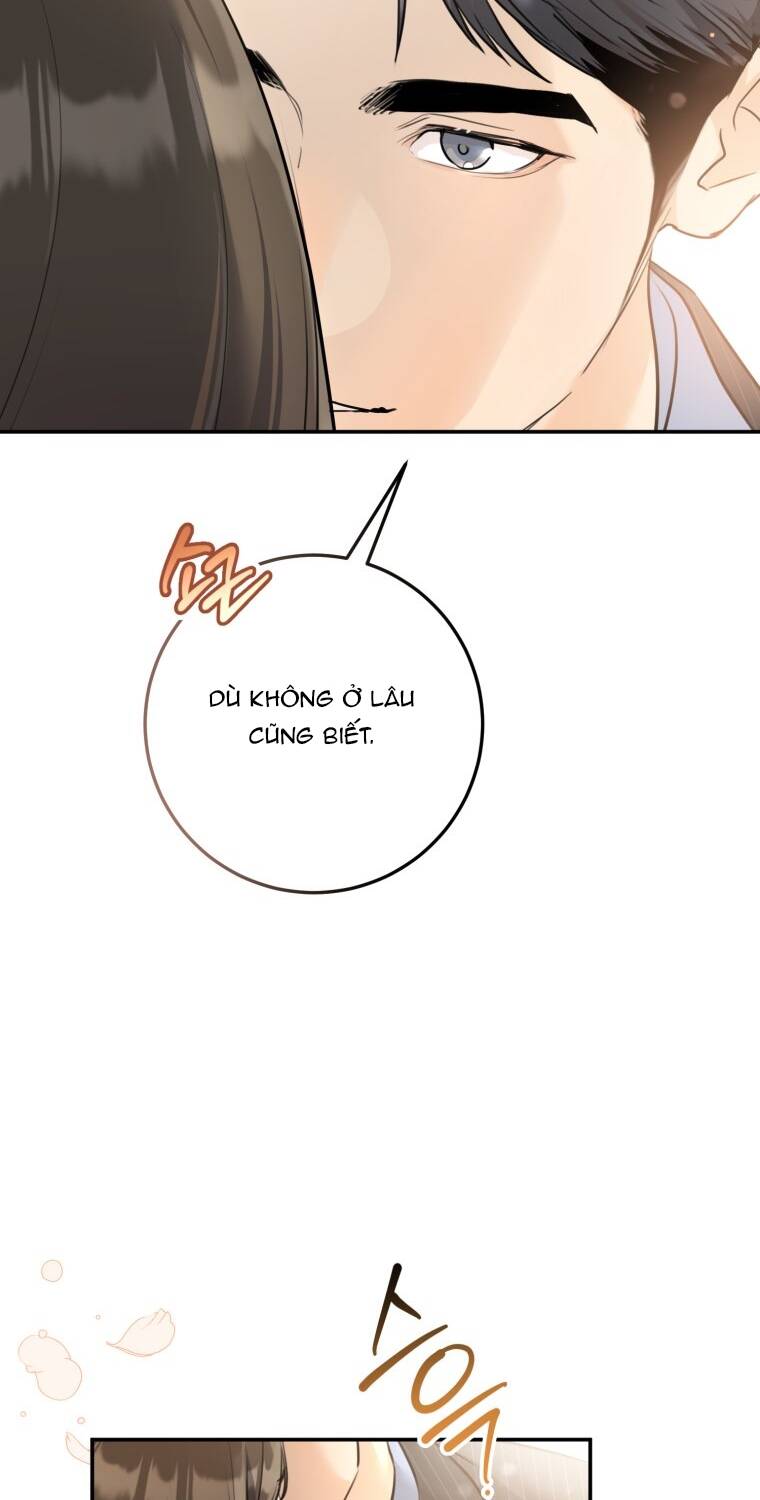 Lý Do Kết Hôn Chapter 4 - 24