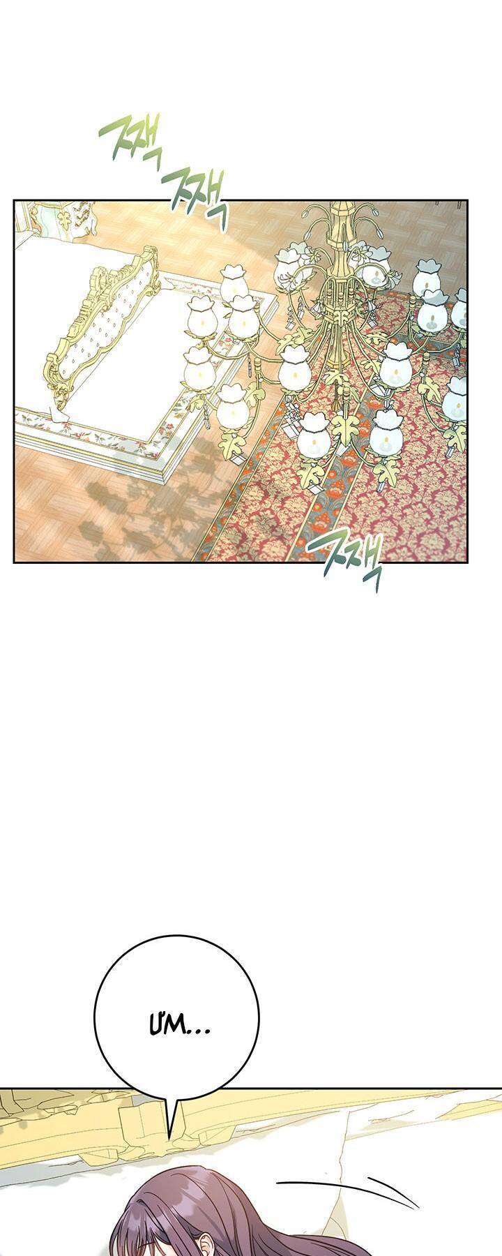Tôi Đã Nuôi Dạy Em Gái Mình Một Cách Hoàn Hảo Chapter 4 - 45