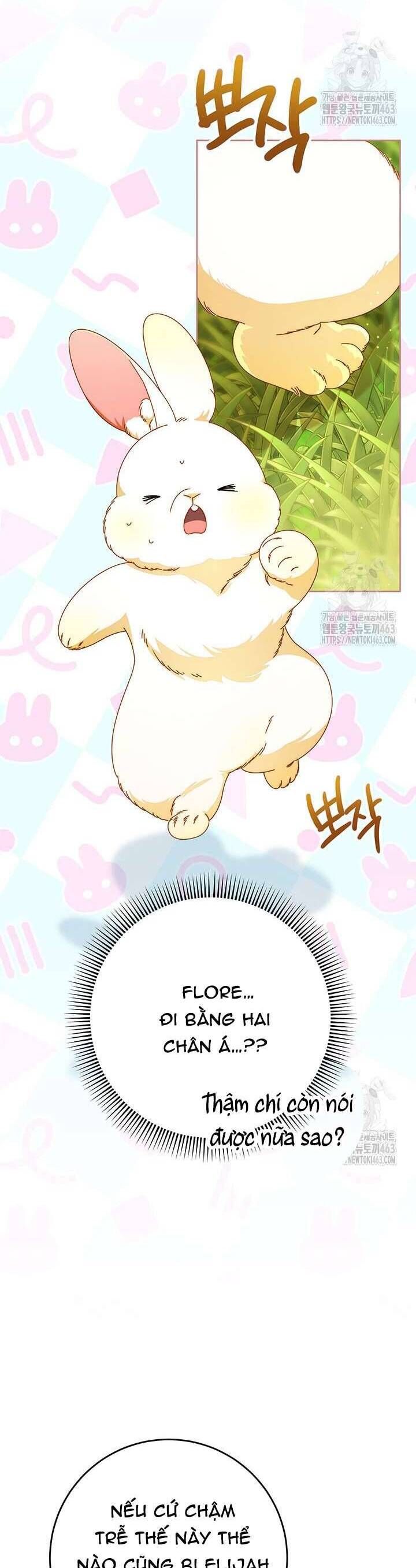 Tôi Đã Nuôi Dạy Em Gái Mình Một Cách Hoàn Hảo Chapter 75 - 44