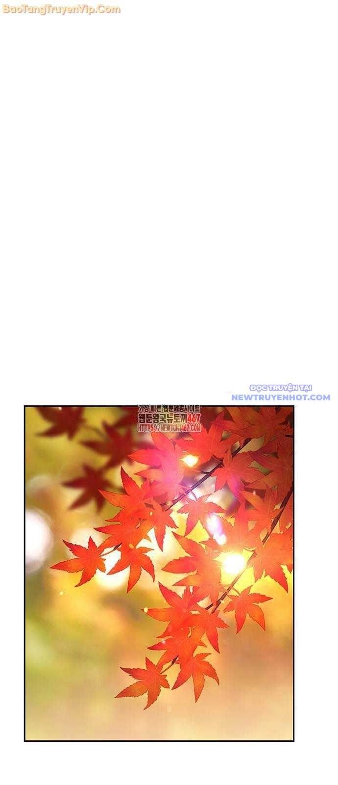 Chữa Lành Cuộc Sống Thông Qua Cắm Trại Ở Thế Giới Khác Chapter 48 - 5