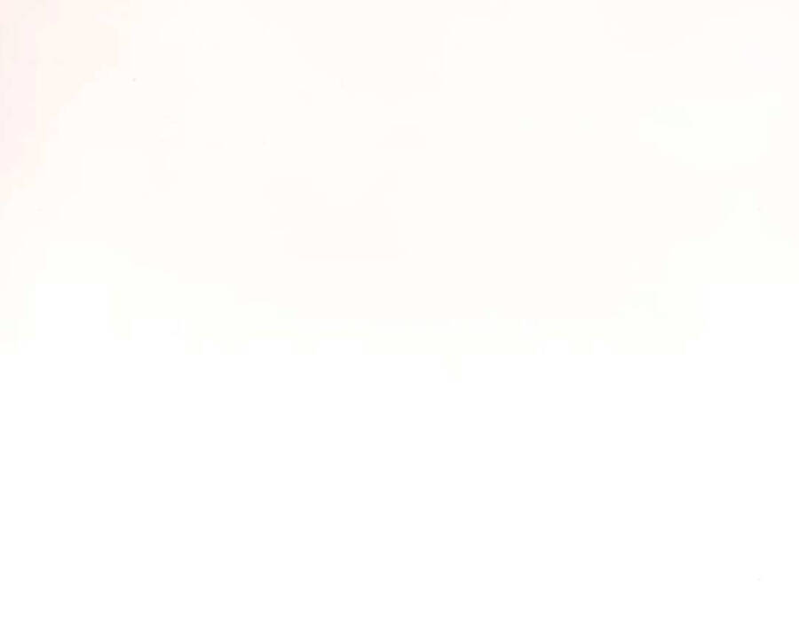 Chữa Lành Cuộc Sống Thông Qua Cắm Trại Ở Thế Giới Khác Chapter 19 - 65