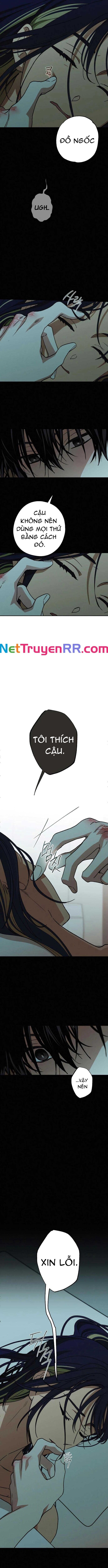 Mối Quan Hệ Đặc Biệt Chapter 31 - 11