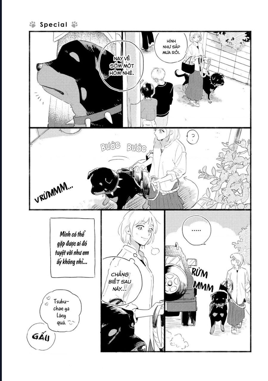 Đôi Ta Hoàn Toàn Trái Ngược Chapter 15.5 - 13