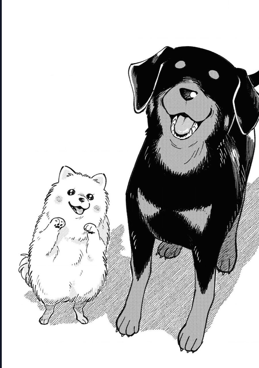 Đôi Ta Hoàn Toàn Trái Ngược Chapter 25.5 - 21