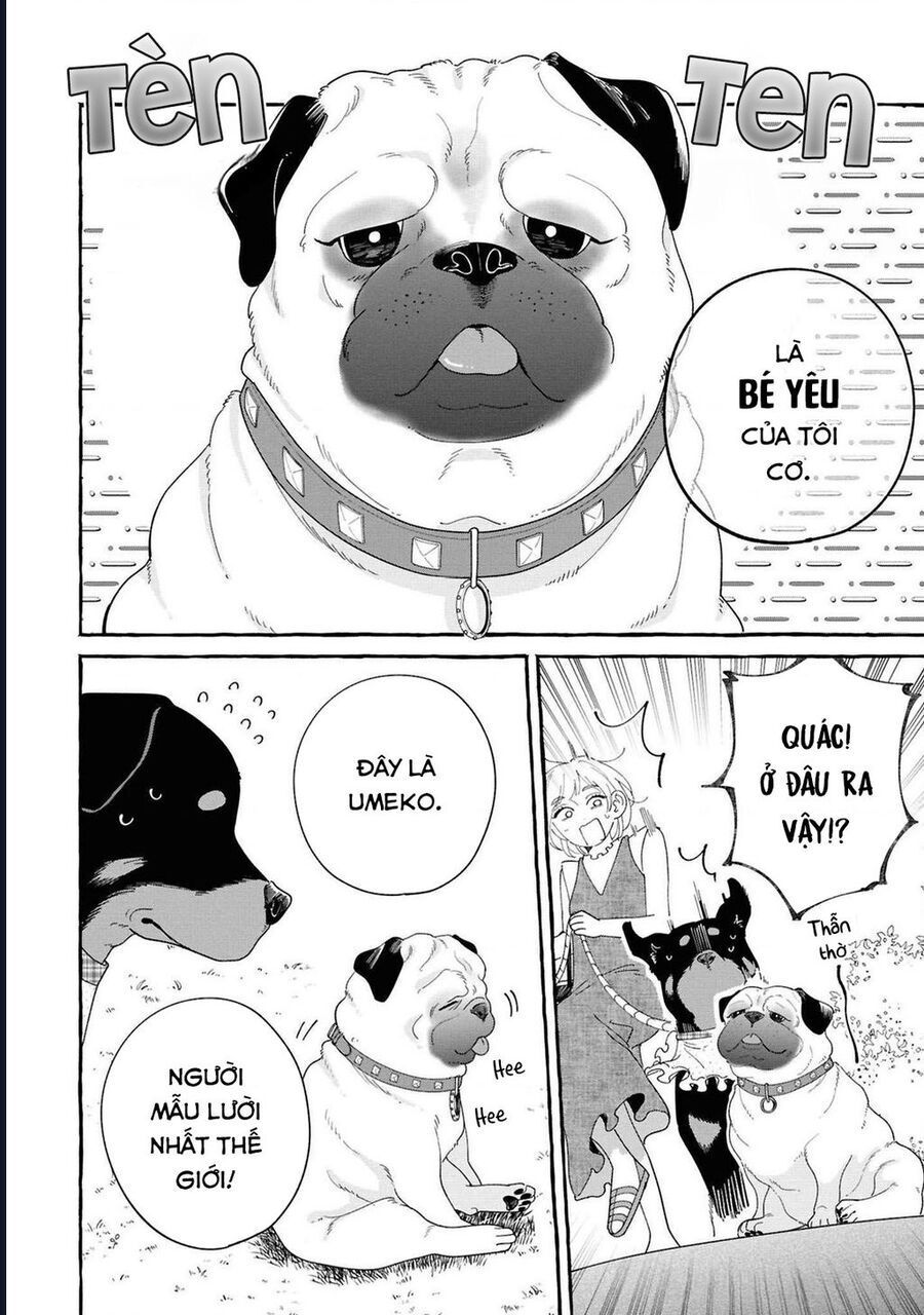 Đôi Ta Hoàn Toàn Trái Ngược Chapter 32 - 6