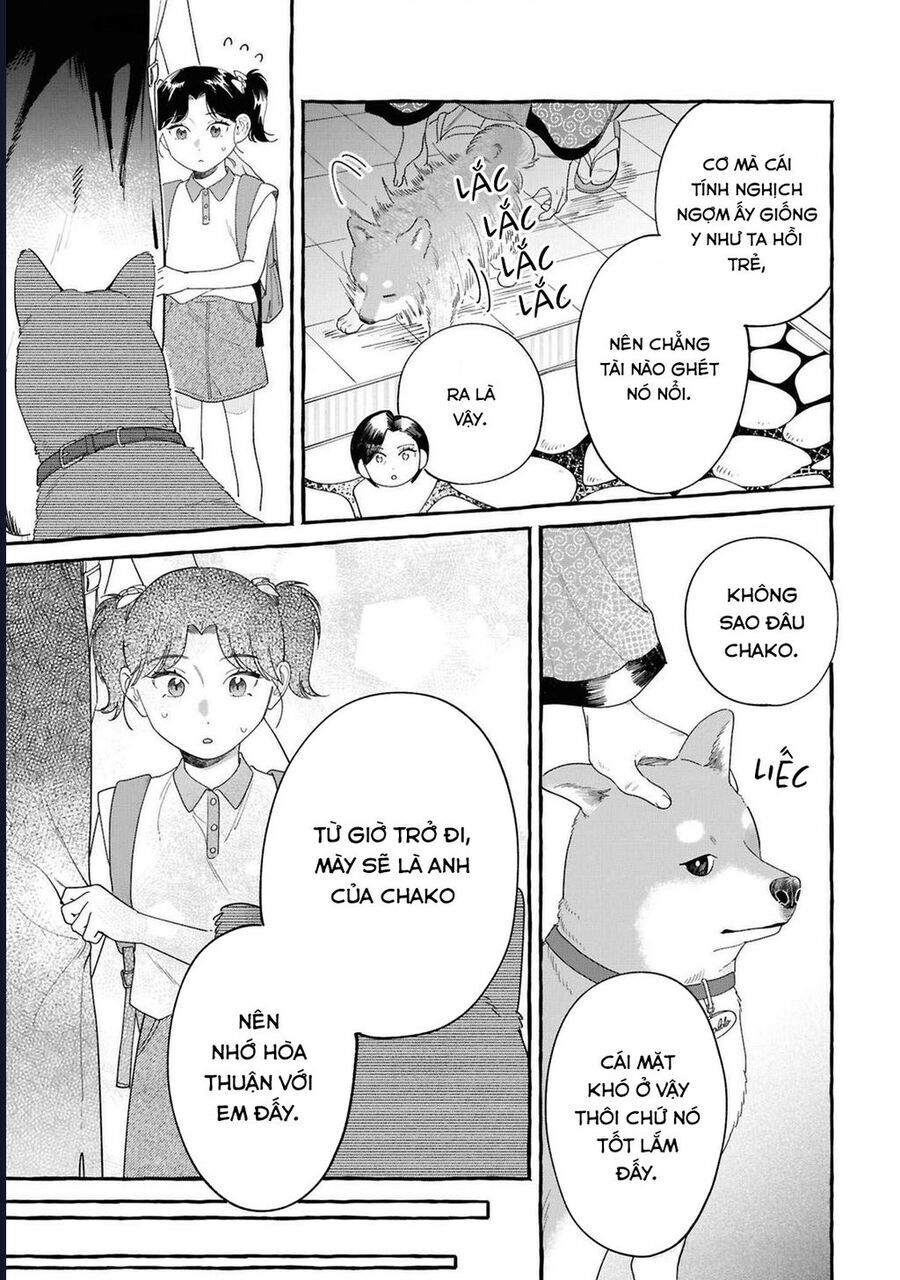 Đôi Ta Hoàn Toàn Trái Ngược Chapter 36 - 12