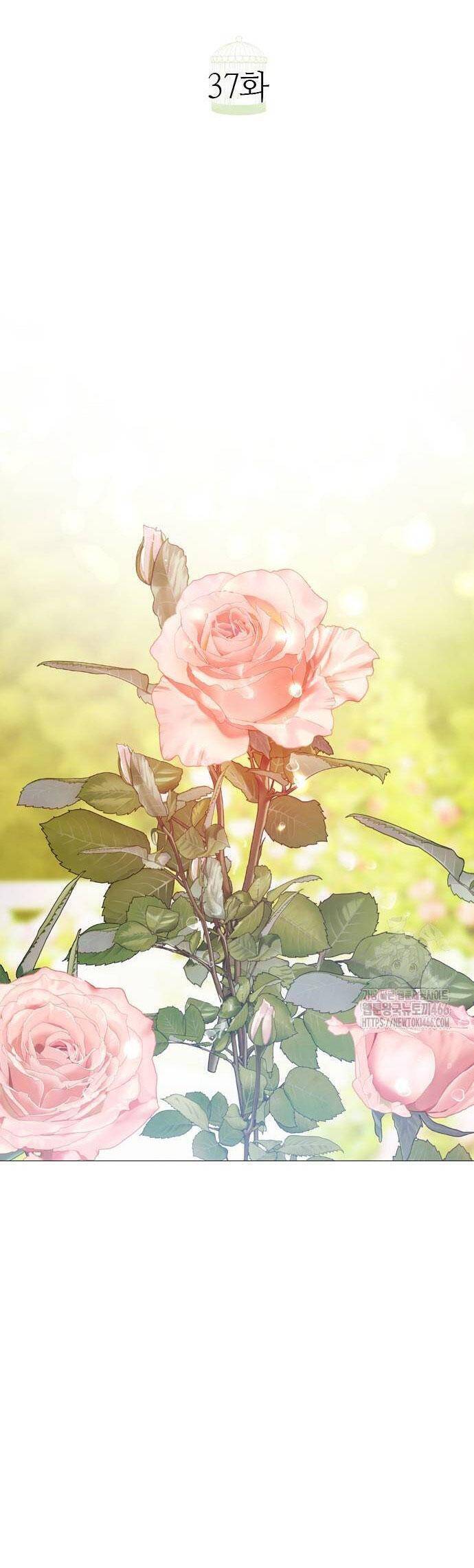 Hãy Khóc Và Cầu Nguyện Đi Chapter 37 - 17