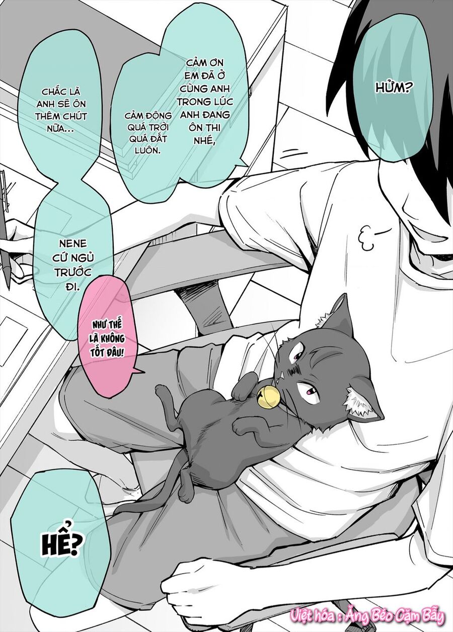 Bé Mèo Yandere Của Tôi Yêu Tôi Rất Nhiều Chapter 3 - 1