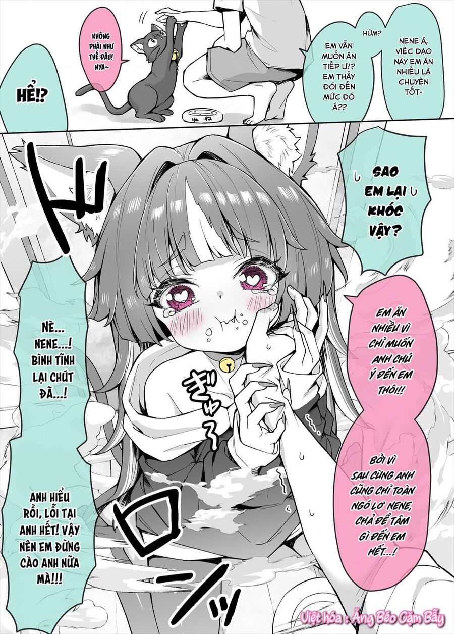 Bé Mèo Yandere Của Tôi Yêu Tôi Rất Nhiều Chapter 4 - 1