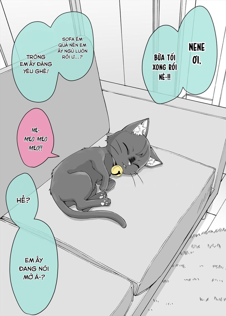 Bé Mèo Yandere Của Tôi Yêu Tôi Rất Nhiều Chapter 5 - 1