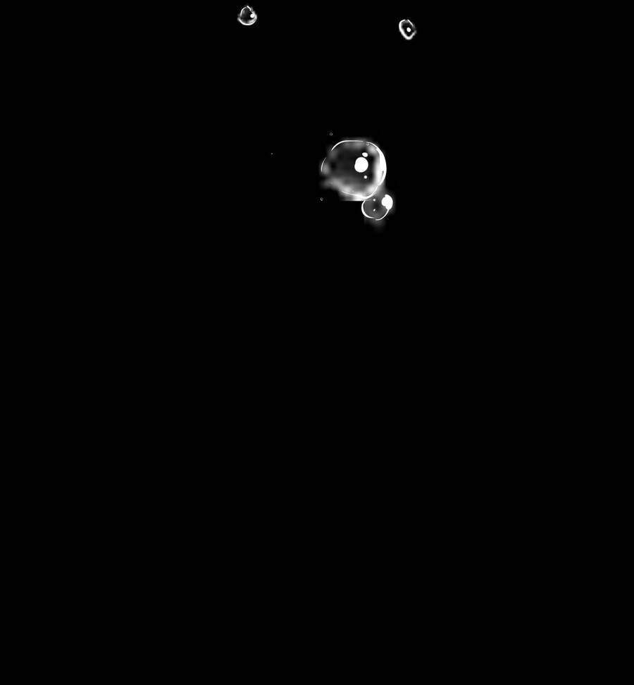 Thiếu Nữ Xinh Đẹp Ảo Tưởng Mình Bị Sát Hại Chapter 25 - 51