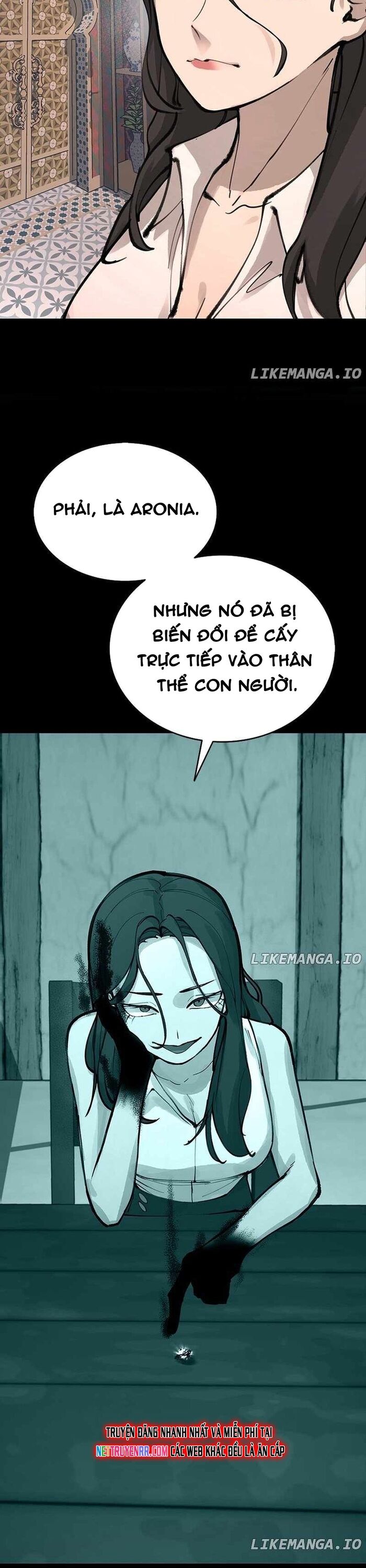 Ngọn Lửa Của Hòa Bình Chapter 41 - 2