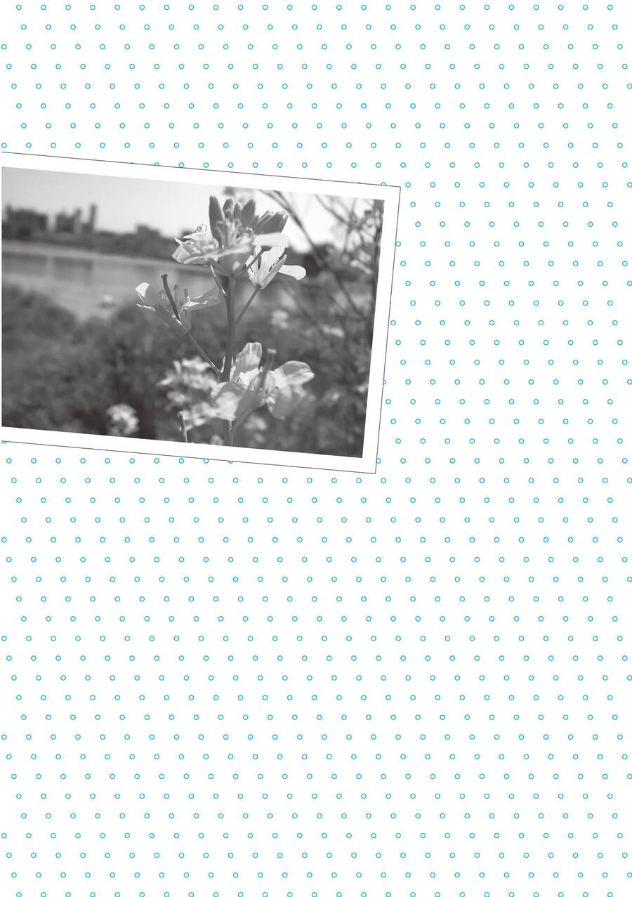 Mikako-San Chapter 24 - 6