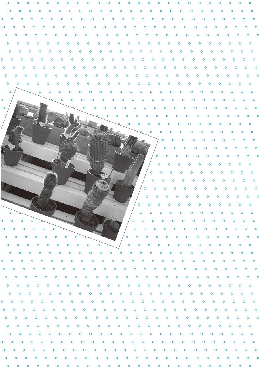 Mikako-San Chapter 4 - 5