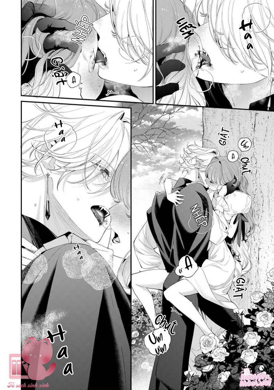 Hoa Hồng Ẩn Giấu Sao Băng Chapter 14 - 22
