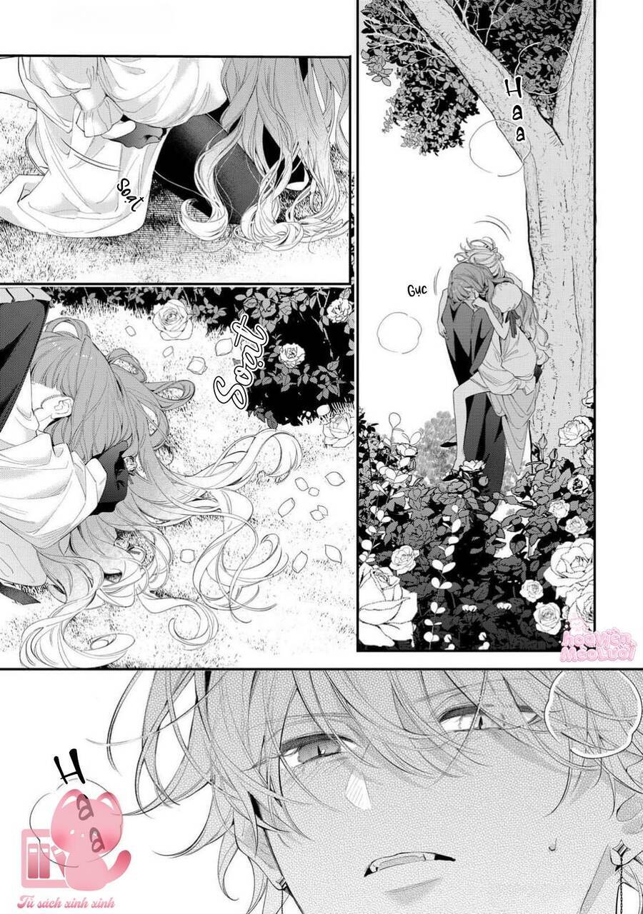 Hoa Hồng Ẩn Giấu Sao Băng Chapter 14 - 23