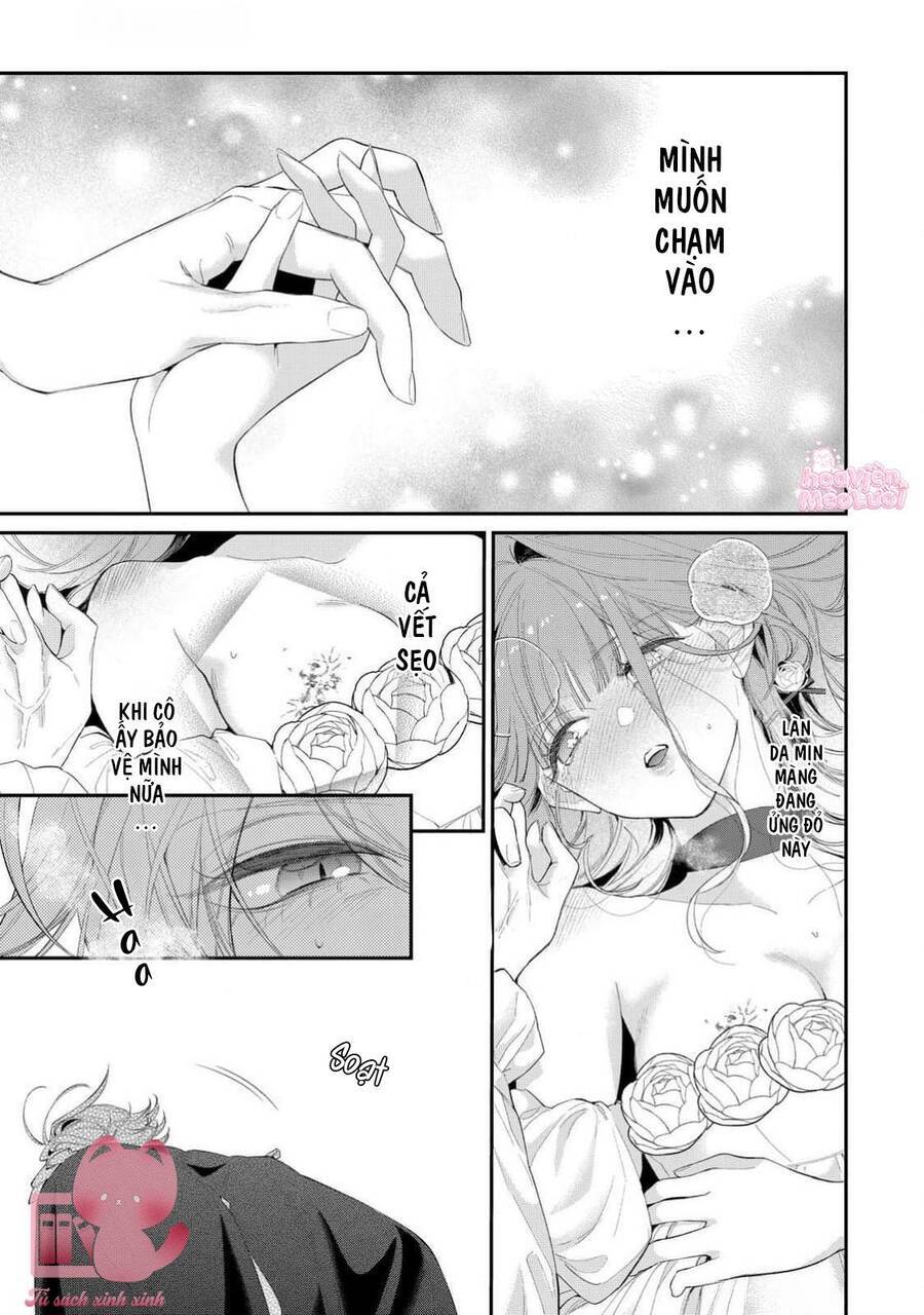 Hoa Hồng Ẩn Giấu Sao Băng Chapter 14 - 27