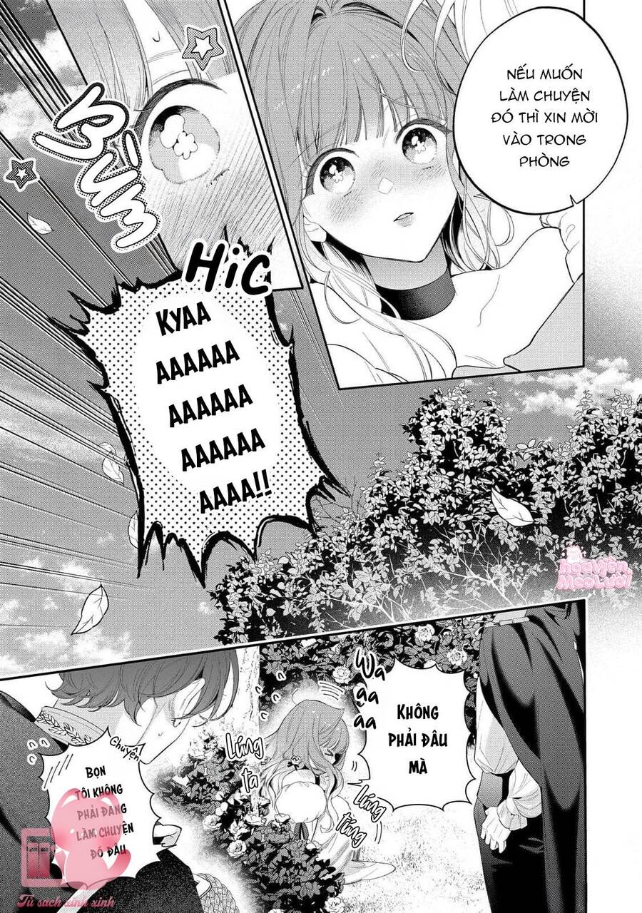 Hoa Hồng Ẩn Giấu Sao Băng Chapter 15 - 12