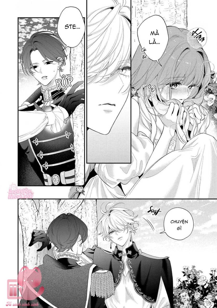 Hoa Hồng Ẩn Giấu Sao Băng Chapter 15 - 13