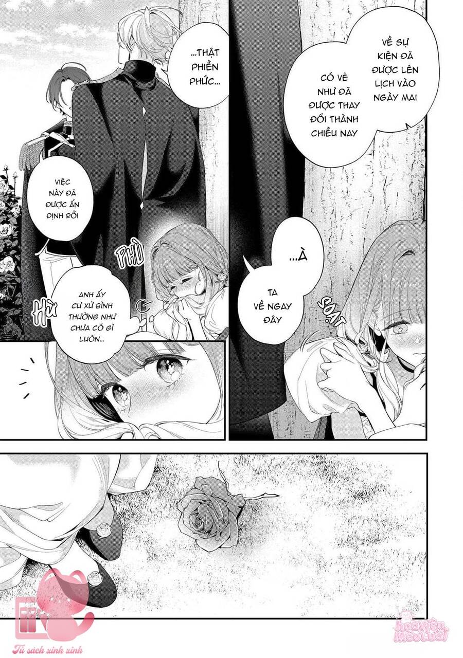 Hoa Hồng Ẩn Giấu Sao Băng Chapter 15 - 14
