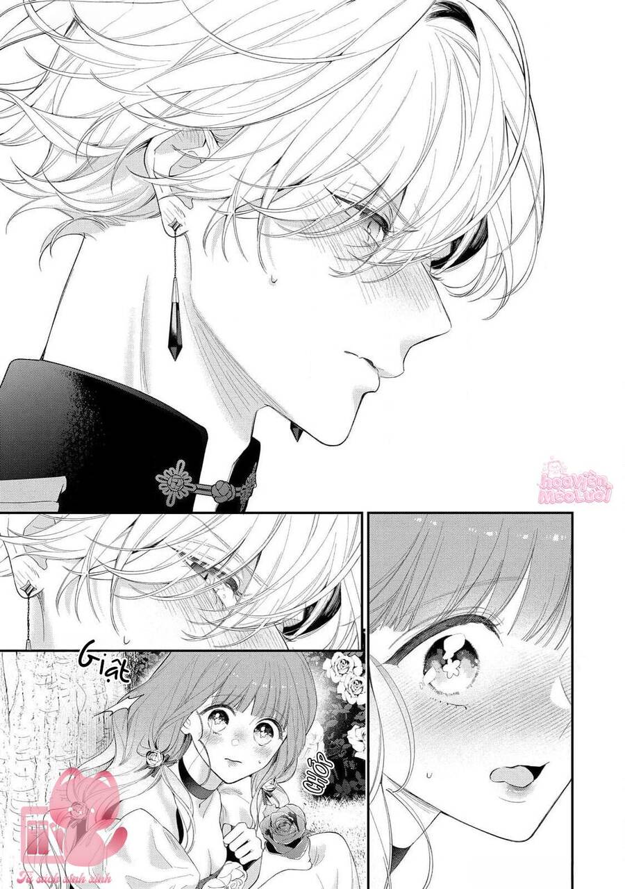 Hoa Hồng Ẩn Giấu Sao Băng Chapter 15 - 17