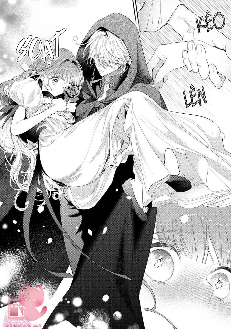 Hoa Hồng Ẩn Giấu Sao Băng Chapter 15 - 21