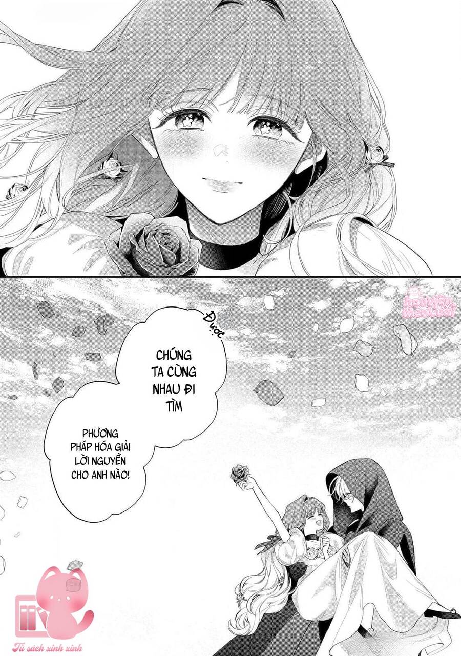 Hoa Hồng Ẩn Giấu Sao Băng Chapter 15 - 27