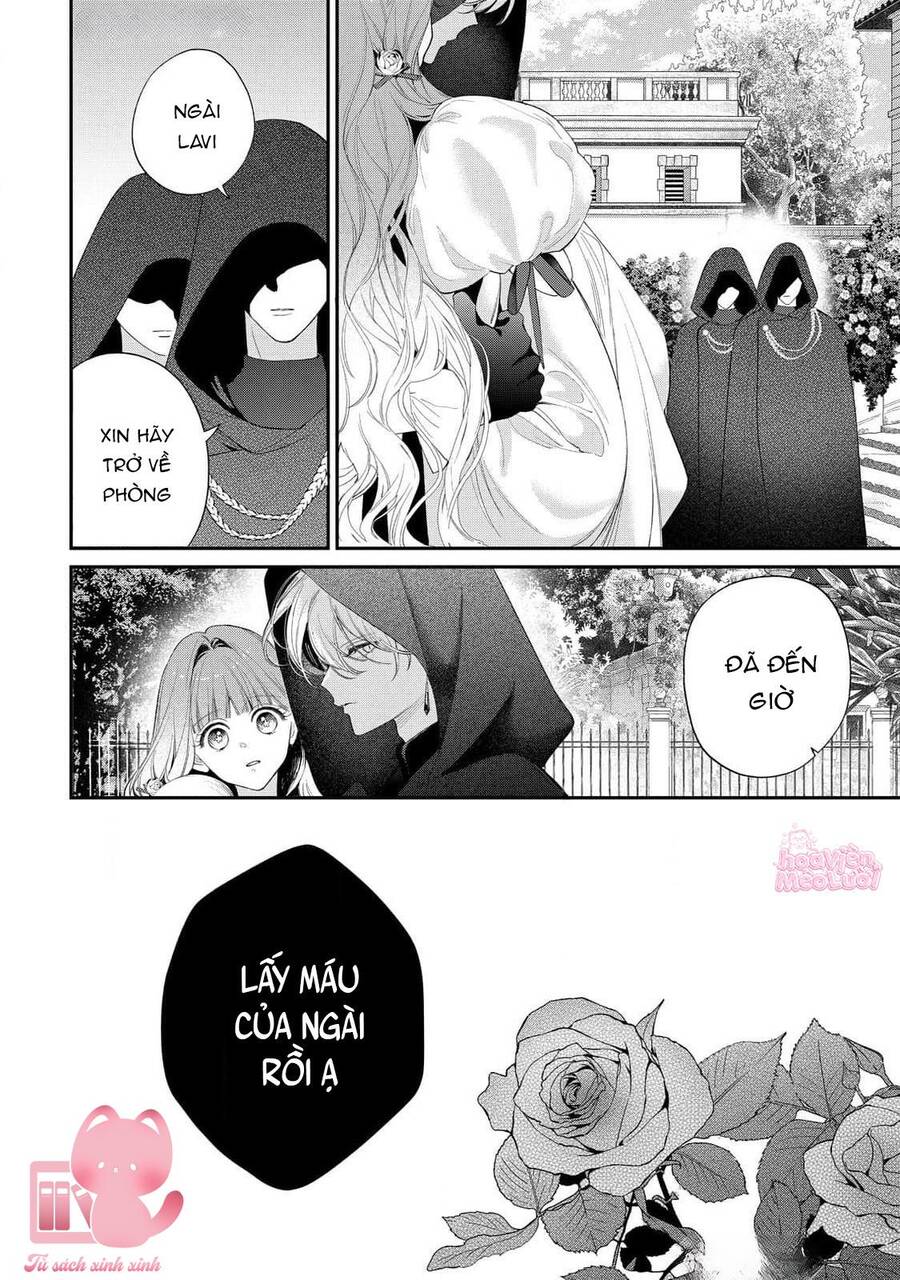 Hoa Hồng Ẩn Giấu Sao Băng Chapter 15 - 29