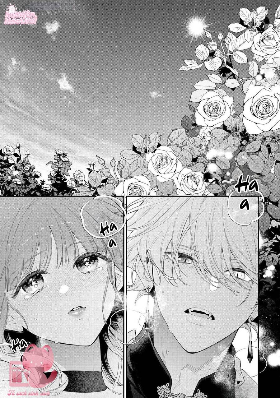 Hoa Hồng Ẩn Giấu Sao Băng Chapter 15 - 4