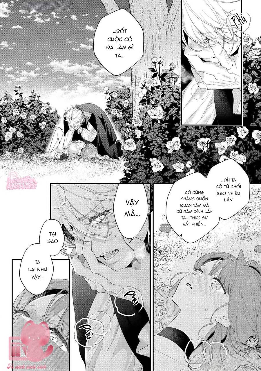 Hoa Hồng Ẩn Giấu Sao Băng Chapter 15 - 5