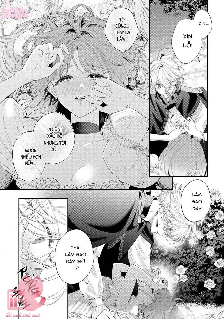 Hoa Hồng Ẩn Giấu Sao Băng Chapter 15 - 6