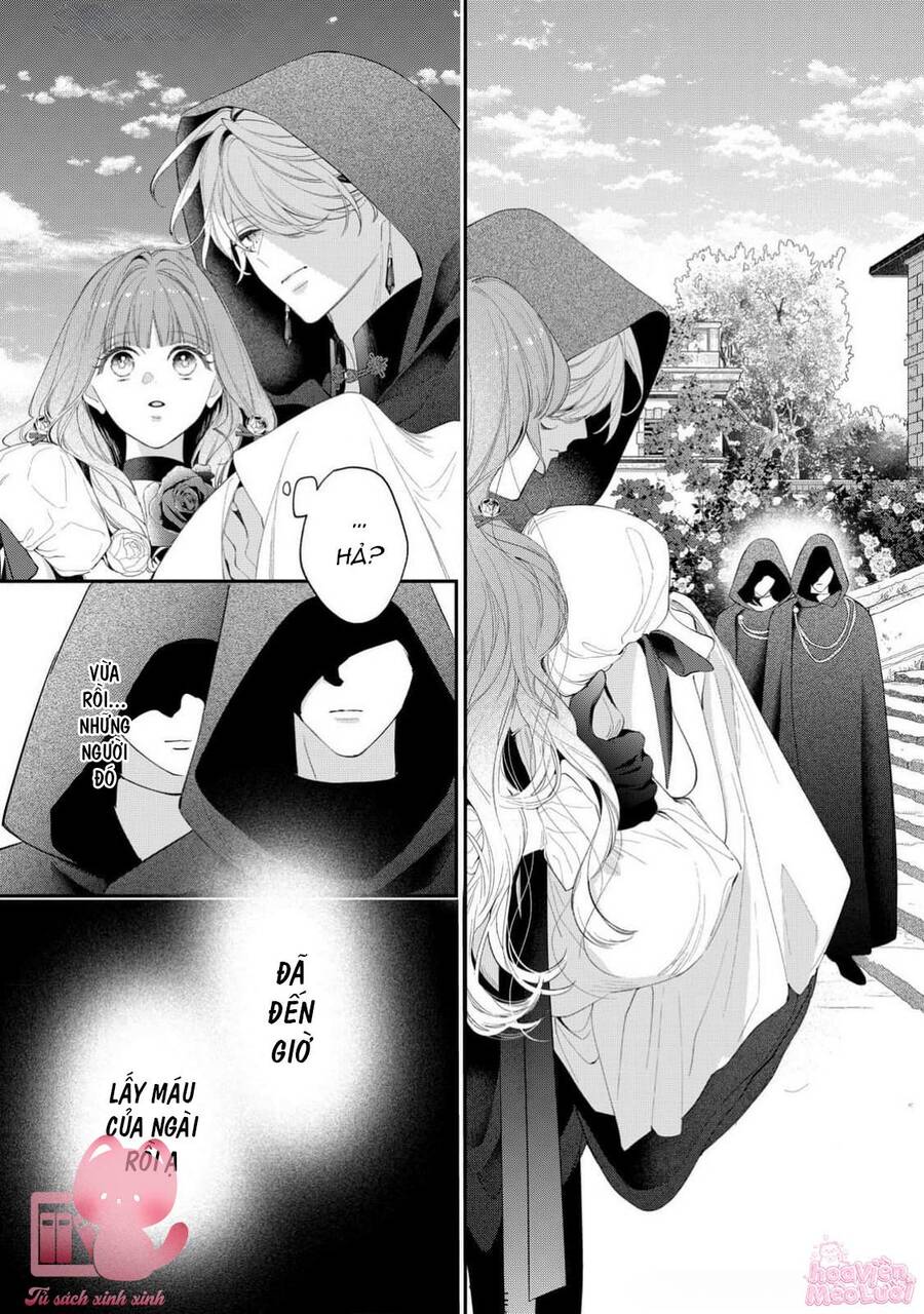 Hoa Hồng Ẩn Giấu Sao Băng Chapter 16 - 3